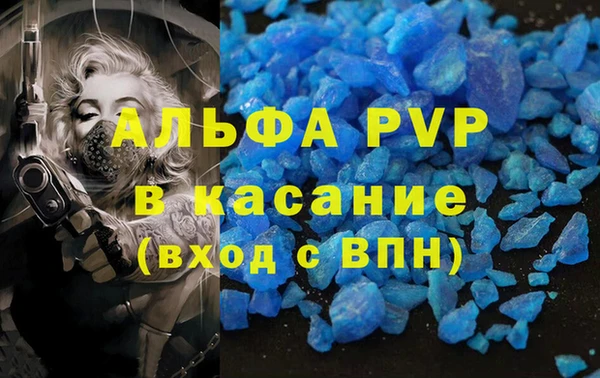 гидра Аркадак