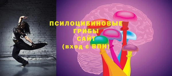 гидра Аркадак