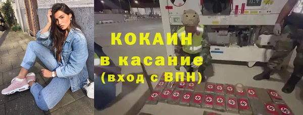 гидра Аркадак