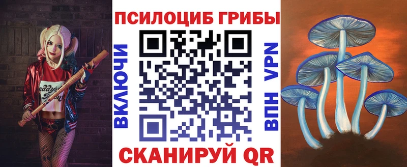 где можно купить наркотик  Мамоново  Галлюциногенные грибы Psilocybine cubensis 